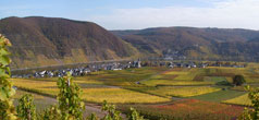 Ortsansicht Ellenz, Beilstein im Hintergrund